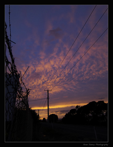 morning trees silhouette sunrise work canon fence dawn powerlines s100 seansaveryphotography
