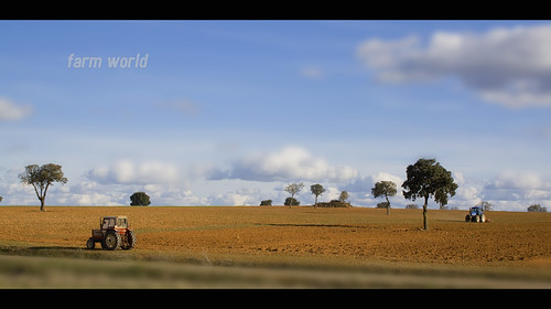 world farm