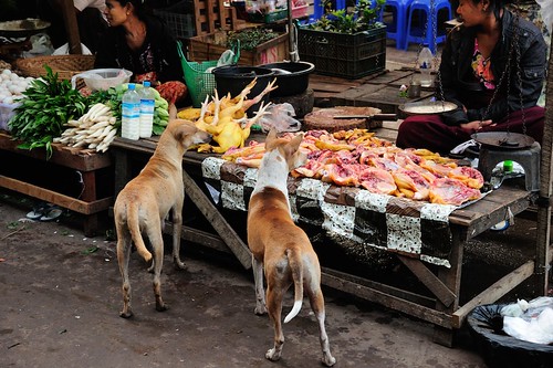 market burma myanmar hpaan