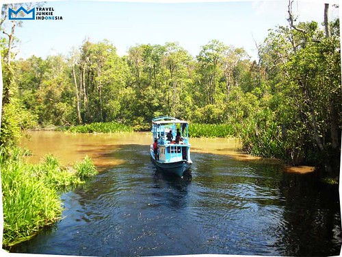 The Best Way to See Tanjung Puting National Park