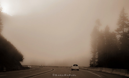 Foggy Morning-Stevens Pass