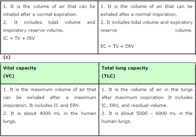 tidal volume formula