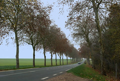 Country Road - Photo of Clévilliers