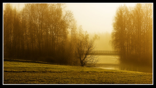 bridge nature field sunrise finland river foggy peacefulmoment