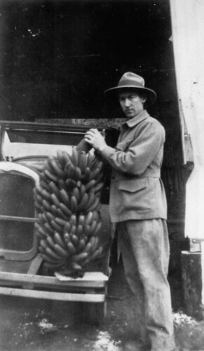 1920s australia bananas queensland agriculture tropicalfruit statelibraryofqueensland calicocreek fedorahat fruitfarming slq bananafarming stevebeattie hupmobiletourer