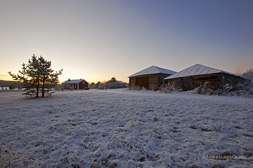 winter sunset people snow pine finland post culture lapland talo lumi talvi auringonlasku mänty ihminen pihapiiri kulttuuri rakennuksia marrasjärvi ikithule