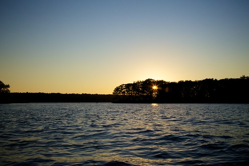 blue trees sunset summer sun lake ontario canada silhouette yellow evening dusk crowe