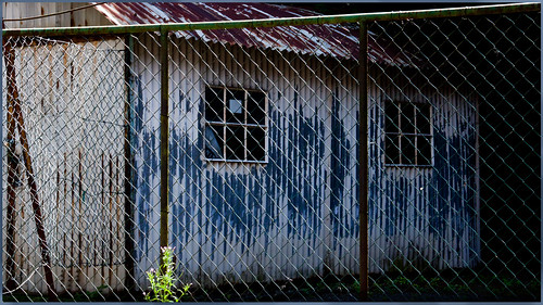 blue green window fence blau bluewonder wellblechhütte glasseyesview corrugatedtinhut