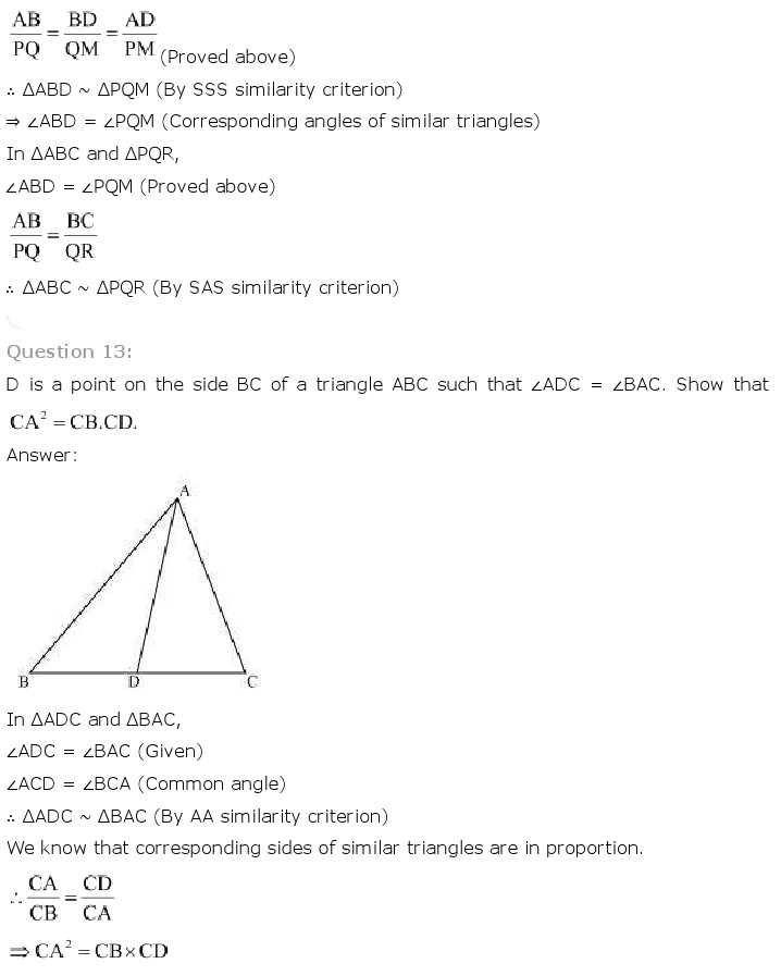 NCERT Solutions For Class 10 Maths Chapter 6 Triangles PDF Download freehomedelivery.net
