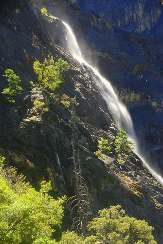 california new york forest waterfall nevada tahoe canyon falls sierra national