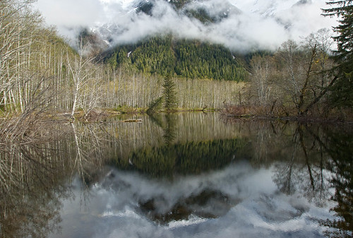 cloud mountain snow reflection tree pine forest river spring symmetry skeena cedar slough alder canadapt