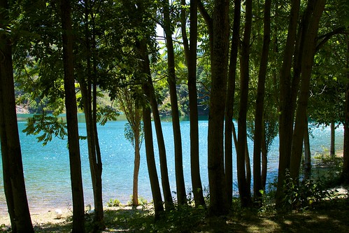 trees lake silhouette alberi lago acqua abruzzo villalago