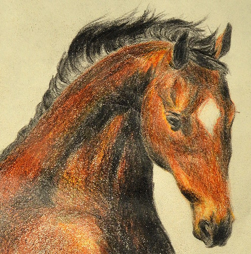 horse brown white black art yellow pencil drawing coloring colored