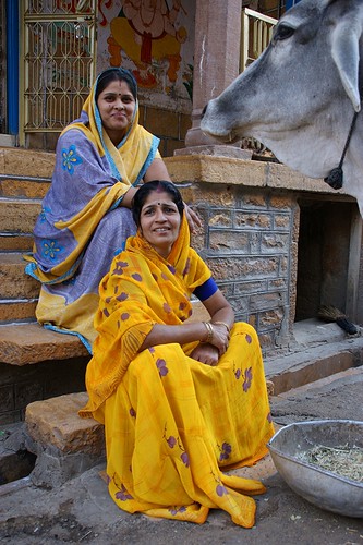 voyage street blue india color colour yellow cow colorful asia earth asie feed couleur jaisalmer rajasthan inde viajar streetshot travelphotography documentory earthasia pismont clairepismont