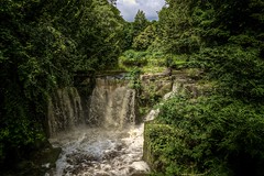 135 of 365 - Waterfalls at Jesmond