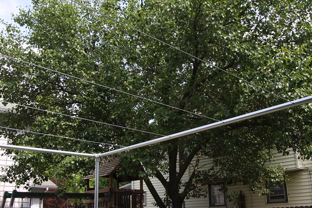 Backyard Grape Vine Trellis - Pipe & Wire