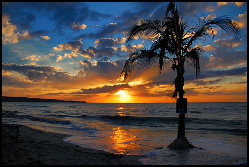 strand meer sonnenuntergang wolken palme negril jamaika