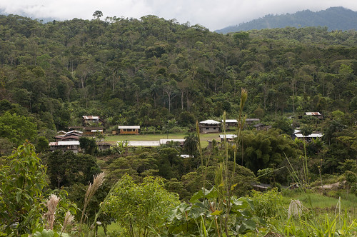 ecuador provincia napo città ecuatoriana amazzonia