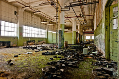 got mold? Big mold problem here. Abandoned Barber-Colman factory in Rockford, Illinois