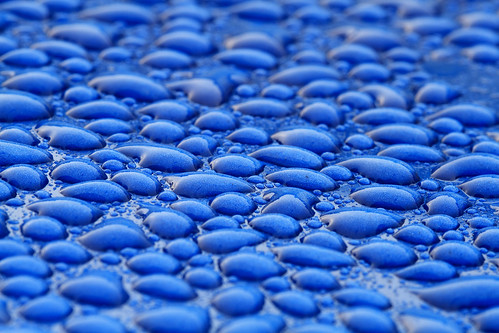 blue macro water car rain droplets drops sigma wax beading 105mm