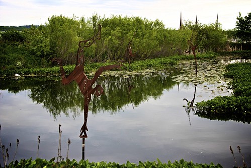 minnesota basin waterlillies sculptures stormwater treatment bemidji lakebemidji