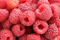 βατόμουρο / Raspberries by Fir0002/Flagstaffotos