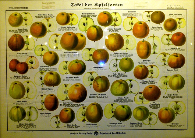 Meran 2012 Apfelsorten