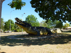 Big Crocodile, Wyndham