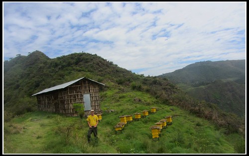 ethiopia beekeeping beehives apiary