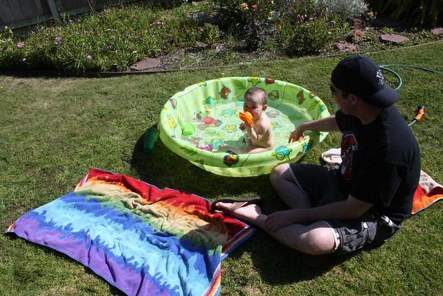 Playing in the Kiddie Pool