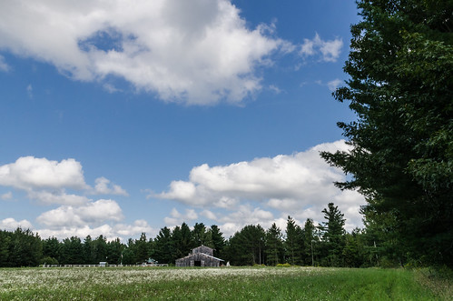 lonely woods pasture meadow rural weather clouds trees blue barn forest wisconsin sky farm ruskcounty nature landscape place