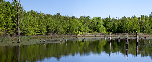 lake pond unitedstates nationalforest arkansas ozark mulberry shoreslake