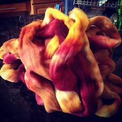 The next round of spinning has been selected...here is what I hope amounts to be a sweater lot of tequila sunrise on texel