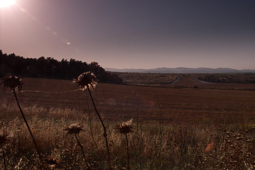 morning field view scenic hulda chebrutametzalemet karmeyoseph