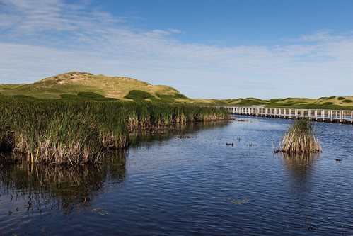 pei princeedwardisland maritimes canada marsh