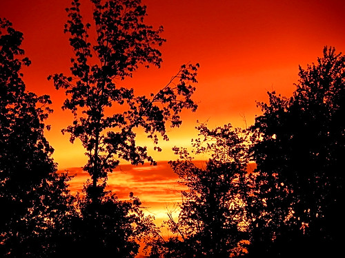 sunset sky sun tree clouds