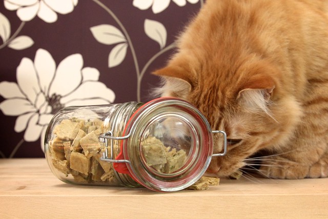 how to be overly obsessive over tiny details: Spice Jars - A Kitchen Cat