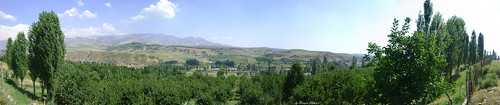 tashkentregion republicofuzbekistan hisarakvillage