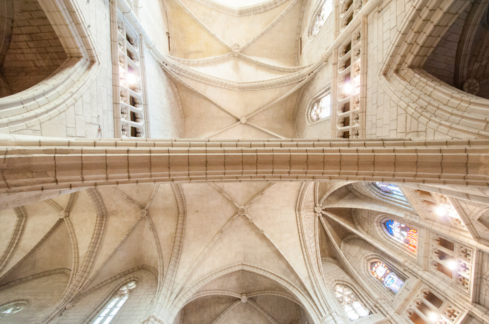 Visita a la Catedral de Santa María de Vitoria, abierta por obras
