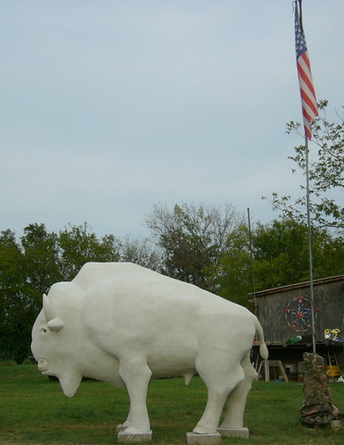 sculpture white animal buffalo lifesize