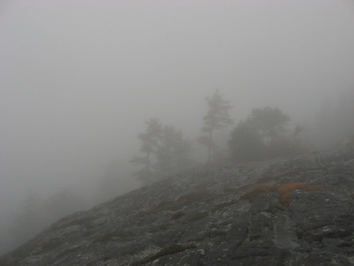 autumn mist fall rain clouds us nc highlands neblina wnc krummholz sunsetrock