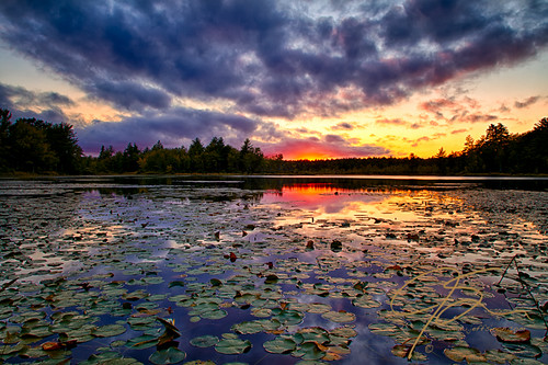 sunset usa reflection nature clouds waterlily newhampshire dramatic uni lilypads week36 hdr lanscape dover lensprotogo lptg bellamyreservoir 52weekphotoproject