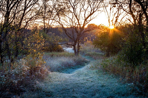 sunrise canon frost path cookcounty 500d poplarcreekforestpreserve t1i kevinrodde kevinroddephoto kevinroddephotography