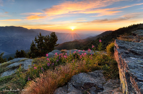 alba sunrise sampeyre alpi alps varaita flowers fiori montagna mountain nikon d7000 colle passo piemonte cuneo summer august estate agosto