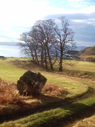 scotland flickr tree rock