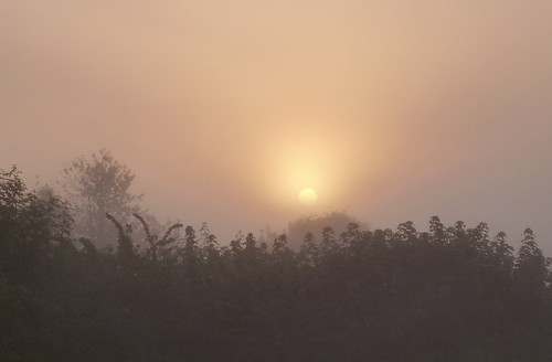 camping mist sunrise dawn plymouth devon brixton vennfarm