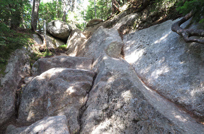 Blueberry Ledge Trail Rock Scramble