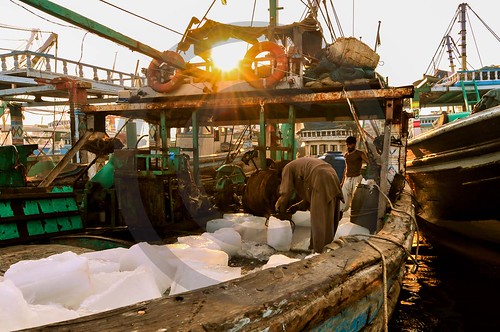 pakistan sea fish ice yellow sunrise gold golden boat fishing fisherman vessel karachi kala sindh pani arabiansea kalapani skdurrani