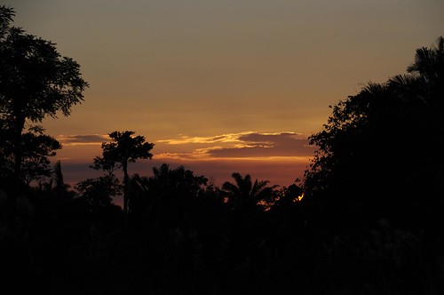 sunset atardecer rainforest belize puesta ocaso centroamérica afdp52s36 junglatropical