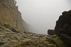 Cape Enrage Cliffs